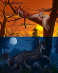  balls blue_eyes canine feline female feral forest fox hybrid hyhlion leopard looking_at_viewer male mammal moon penis pinup pose pussy scenery sheath snow_leopard spread_legs spreading stone sunset tani tree wolf wood 