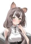  1girl animal_ears arknights bare_shoulders blush breasts brown_eyes brown_hair cat_ears cat_girl closed_mouth collared_shirt dot_nose fur-trimmed_jacket fur_trim grey_jacket hair_intakes hand_up highres holding holding_hair honeyberry_(arknights) jacket large_breasts looking_at_viewer low_twintails multicolored_hair off_shoulder portrait raramente shirt sidelocks simple_background sleeveless sleeveless_shirt solo streaked_hair twintails white_background white_hair white_shirt 