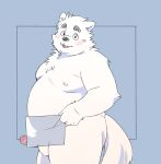 2024 anthro balls belly big_belly blush canid canine canis domestic_dog erection genitals hi_res humanoid_hands inunoshippo kemono male mammal moobs nipples overweight overweight_male penis solo