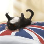  cat catgirl0926 copyright_request flag lowres no_humans union_jack 