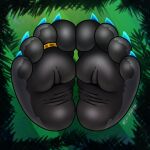 4_toes absurd_res anthro bear black_body black_fur black_pawpads blue_claws chi_panda chi_panpan claws close-up digit_ring disembodied_foot feet foot_fetish foot_focus foot_shot fur giant_panda hi_res huge_filesize humanoid_feet jewelry male mammal pawpads plantigrade ring simple_background soles solo toe_claws toe_ring toes wrinkled_feet wrinkles