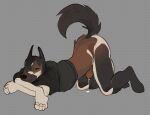 anthro asht0n ass_up black_nose bodily_fluids brown_body brown_fur canid canine canis clothed clothing crossed_arms distracting_watermark dobermann domestic_dog fur genital_fluids genitals grey_background grey_eyes hi_res humanoid_genitalia humanoid_penis looking_at_viewer male mammal partially_clothed penis pinscher ring side_view simple_background solo solo_focus tail tan_body tan_fur watermark
