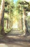  dappled_sunlight day forest highres nature no_humans original painting_(medium) path scenery shadow shimizu_megumi_(m_acquerello) sunlight traditional_media tree tree_shade watercolor_(medium) 