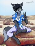 3:4 aloha_shirt anthro black_body black_fur black_hair blue_clothing bottomwear canid canine canis chest_tuft claws clothed clothing crossed_legs fur gesture green_claws green_eyes grey_body grey_fur hair hand_gesture hand_on_leg hi_res inner_ear_fluff looking_at_viewer male mammal mika_(nikku_lunatique) multicolored_body nikku_lunatique pants pattern_clothing pattern_shirt pattern_topwear rock shirt short_hair sitting smile topwear tuft two_tone_body v_sign wolf