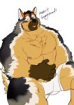 2020 anthro areola big_muscles biped blep blush bogexboog brown_body brown_fur bulge canid canine canis chest_tuft clothing dialogue digital_drawing_(artwork) digital_media_(artwork) domestic_dog english_text eyebrows fur gloves_(marking) grey_body grey_fur haki_(bogexboog) hand_on_belly male mammal markings multicolored_body multicolored_fur muscular muscular_anthro muscular_male nipples pecs simple_background sitting solo tail text tongue tongue_out tuft underwear white_background white_body white_clothing white_fur white_underwear