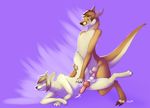  anal balls brown_hair canine cum dingo doodlies eyes_closed eyes_open gay grin hair kangaroo maim male mammal marsupial nude penis plain_background purple_background sex 