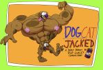 absurd_res anthro big_muscles canid canine canis catdog_(series) cock_transformation domestic_cat domestic_dog duo felid feline felis fusion growth hi_res huge_muscles hyper hyper_muscles luxley male male/male mammal muscle_growth muscle_size_difference muscular nickelodeon power_exchange powerless protein_shake pumped transformation