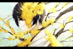  1boy black_hair branch closed_mouth e.g.o_(project_moon) flower hashtag-only_commentary highres letterboxed limbus_company looking_at_viewer male_focus material_growth project_moon short_hair solo touu_yaiba twitter_username yellow_eyes yellow_flower yi_sang_(project_moon) 
