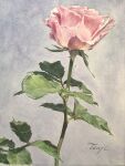  day eyvzi172xqdkvs7 flower flower_focus highres leaf no_humans original painting_(medium) pink_flower pink_rose plant plant_focus rose shadow signature still_life sunlight traditional_media watercolor_(medium) 