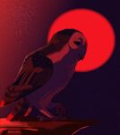absurd_res avian barn_owl bird black_eyes blood_moon brown_body brown_feathers feathers feet feral goodglove guardians_of_ga&#039;hoole hi_res male night owl sky solo talons toes tyto tytonid uglamore_(gogh) white_body white_feathers