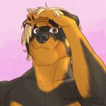 1:1 absurd_res amarox anthro blonde_hair bust_portrait canid canine canis chester_(amarox) digital_drawing_(artwork) digital_media_(artwork) domestic_dog hair hi_res looking_at_viewer male mammal mastiff molosser muscular muscular_male portrait raised_arm rottweiler smile solo