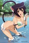  absurdres animal_ears bikini black_hair blush breasts brown_eyes cat_ears cat_tail cleavage fish highres large_breasts megami non-web_source official_art open_mouth river scan shaomei_rin shining_(series) shining_hearts side-tie_bikini solo swimsuit tail wading water yahiro_yuuko 