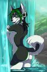  ambiguous_gender back bathing butt canine confrontedwolf dog ear_piercing green_eyes green_hair hair husky james looking_back male mammal mingchee nude outside piercing solo water waterfall 