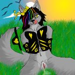  anthro breasts canine corset down female front_view grass hair_over_eye highlights looking_at_viewer mammal morning navel outside panties pussy pussy_juice rainbow sitting solo spread_legs spreading tongue tongue_out underwear valley wet yellow_eyes 