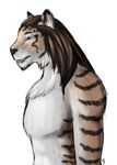  acedia_xailem acediaxailem feline male mammal plain_background solo tiger white_background 