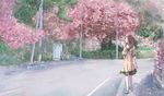  :o bag brown_hair cherry_blossoms collarbone dress flat_chest flats green_eyes ichika11030 looking_up open_mouth original pink power_lines puffy_sleeves road satchel scenery sidewalk solo spring_(season) telephone_pole tree walking 