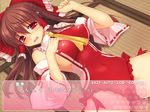  bare_shoulders blush borrowed_design breasts brown_hair covered_navel hakurei_reimu himukai_kyousuke medium_breasts open_mouth red_eyes sample sideboob skin_tight solo text_focus touhou translated wrestling_outfit 