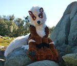  arcanine beastcub blue_eyes canine feral fursuit hindpaw lilleahwest looking_at_viewer paws pok&eacute;mon quadsuit 