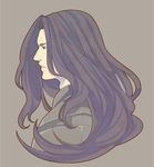  armor bad_id bad_pixiv_id berserker_(fate/zero) fate/zero fate_(series) lancelot_(fate/zero) long_hair male_focus passo0102 profile purple_hair solo 