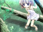  barefoot blue_eyes blush brown_hair child dress fang hair_bobbles hair_ornament in_tree nature original ripples short_hair sitting sitting_in_tree soaking_feet solo tree water yugi_(magical-dreamer) 