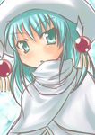  bad_id bad_pixiv_id green_eyes green_hair hat hecate hizuki_reiya shakugan_no_shana solo 