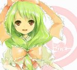  front_ponytail green_hair kagiyama_hina long_hair red_eyes rin_(royal) solo touhou 