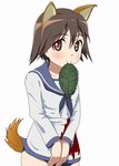  animal_ears aoi_ushi blood brown_eyes brown_hair dog_ears dog_tail fukuen_misato leaf military military_uniform miyafuji_yoshika mouth_hold sankarea seiyuu_connection solo strike_witches tail uniform world_witches_series 