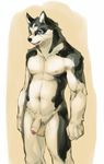  balls blue_eyes canine cotora dog flaccid husky kemono looking_at_viewer male mammal nude penis solo standing uncut 