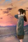  bad_id bad_pixiv_id briefcase brown_hair coat from_side hand_in_pocket highres looking_afar matsuse_daichi original ponytail profile scarf sidelocks skirt solo sunset twilight 