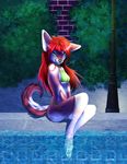  breasts canine clothed clothing dog female green_eyes hair looking_at_viewer mammal pacmancorp pool red_hair sitting skimpy smile solo soriana swimsuit tight_clothing water 