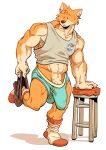 2022 abs anthro beady_eyes big_muscles big_penis black_bottomwear black_clothing blue_briefs blue_clothing blue_underwear bodily_fluids bottomwear briefs brown_nose canid canine cel_shading cheek_tuft claws clothed clothing countershade_arms countershade_face countershade_fur countershade_genitalia countershade_hands countershade_penis countershade_torso countershading digital_media_(artwork) empty_eyes erection erection_under_clothing eyebrows facial_tuft finger_claws fingers footwear fur furniture genitals grey_clothing grey_shirt grey_tank_top grey_topwear hi_res huge_penis inner_ear_fluff male mammal multicolored_body multicolored_clothing multicolored_footwear multicolored_fur multicolored_socks muscular muscular_anthro muscular_male nasa on_one_leg open_mouth orange_body orange_fur penis print_clothing print_shirt print_tank_top print_topwear raised_calf raymodule red_clothing red_footwear red_socks shaded shadow shirt simple_background snout socks solo standing stool sweat sweatdrop tan_body tan_countershading tan_fur tank_top topwear tuft two_tone_body two_tone_clothing two_tone_footwear two_tone_fur two_tone_socks underwear undressing vein veiny_penis white_background white_clothing white_footwear white_socks