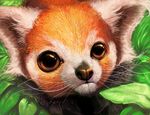  brown_eyes close-up feral foliage fur looking_at_viewer mammal orange_eyes orange_fur portrait red_panda rhyu solo whiskers 