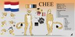 4_toes 5_fingers absurd_res anthro beige_teeth belly bilingual black_claws black_pawpads black_spots black_tail_tip blue_eyes brown_collar butt character_name chee_(gery) cheetah claws collar color_swatch dipstick_tail dutch dutch_flag earth fangs featureless_crotch feet felid feline fingers front_view fur gesture grey_teeth height hi_res information looking_at_view male male_(lore) male_anthro mammal markings measurements model_sheet mouth_closed notbad621 nude nude_anthro nude_male open_mouth orange_background pawpads pink_insides pink_mouth pink_tongue planet planet_collar_tag rear_view simple_background smile solo spots stated_gender tail tail_markings tan_body tan_ears tan_fur teeth text toe_claws toes tongue waving waving_at_viewer white_background white_belly white_body white_butt white_fur white_hands white_inner_ear