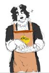 anthro apron apron_only artxtcy black_body black_fur bluey_(series) border_collie canid canine canis clothing collie domestic_dog fur herding_dog mackenzie&#039;s_dad_(bluey) male mammal muscular muscular_male musical_note musical_symbol pastoral_dog pecs plate sheepdog simple_background sketch solo symbol white_body white_fur