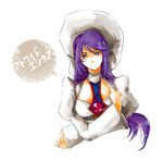  1girl atwight_eks breasts hat long_hair purple_hair red_eyes tales_of_(series) tales_of_destiny tales_of_destiny_2 