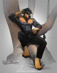  abs anthro aomori armpit_hair barefoot biceps black_hair brown_eyes bulge canid canine canis clothed clothing domestic_dog hair looking_at_viewer male mammal muscular muscular_male nipples pants pecs rottweiler solo topless tree 