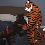  cum feline gay jailbird male penis tiger 