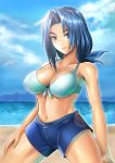  1girl beach bikini_top blue_eyes blue_hair breasts cleavage eyebrows forked_eyebrows future_card_buddyfight harunori_oogami highres large_breasts long_hair looking_at_viewer mature mikado_suzumi navel sand smile water wet 