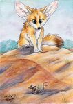  ambiguous_gender canine desert fennec feral fox mammal mouse rodent silentravyn 