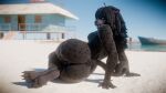 3d_(artwork) ahoge annoad anthro anus beach black_body black_fur black_hair blue_eyes blue_sky blurred_background breasts butt claws day digital_media_(artwork) fangs feet felid female fur genitals hair hi_res long_hair looking_at_viewer looking_back looking_back_at_viewer lying lying_on_ground mammal medium_breasts nude nude_anthro nude_female on_ground on_side open_mouth outdoor_nudity pantherine pussy rear_view sand shani_(annoad) sky soles solo tail teeth water