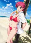  1girl absurdres aqua_eyes banana beach bikini breasts cleavage cloud curvy eating food fruit game_cg green_eyes happoubi_jin highres holding holding_fruit iihara_nao large_breasts mountain navel open_clothes open_shirt pink_hair red_bikini resort_boin sand shadow shirt short_hair side-tie_bikini sky solo standing swimsuit swimsuits tree water 