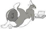  anus belly computer hyper_anus lagomorph laptop overweight rabbit relaxing vincent 