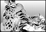 2018 anal anal_penetration anthro apin59 clouded_leopard collar collar_only duo felid genitals greyscale hi_res humanoid_genitalia humanoid_penis likulau lin_hu male mammal monochrome muscular muscular_anthro muscular_male muscular_thighs nekojishi nude pantherine penetration penis signature studio_klondike tiger