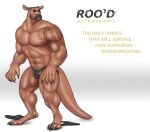 animal_genitalia anthro awarebear balls black_nose body_hair bulge claws clothed clothing clothing_aside demi_transformation facial_hair flip_flops footwear genitals hi_res humanoid jockstrap jockstrap_aside jockstrap_only kangaroo kangaroo_genitalia macropod male mammal marsupial mid_transformation muscular muscular_male mustache navel nipples product_placement sandals shaved_head shoes simple_background snout solo tail tattoo topless transformation underwear underwear_aside underwear_only