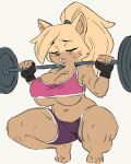 anthro big_breasts blush bodily_fluids breasts canid canine canis cleavage clothed clothing exercise female fingerless_gloves gloves handwear hi_res idw_publishing mammal sega skimpy slightly_chubby solo sonic_the_hedgehog_(comics) sonic_the_hedgehog_(idw) sonic_the_hedgehog_(series) sweat thisguyxyq weightlifting whisper_the_wolf wolf workout
