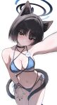  1girl animal_ear_fluff animal_ears back_hair bare_arms bare_shoulders bikini black_choker black_eyes blue_archive blue_bikini breasts cat_ears cat_girl cat_tail choker cleavage gangbyeon hand_on_own_thigh highres kikyou_(blue_archive) kikyou_(swimsuit)_(blue_archive) looking_at_viewer multiple_tails navel official_art reaching reaching_towards_viewer short_hair solo stomach swimsuit tail two_tails 