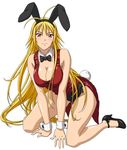  animal_ears blonde_hair breasts bunny_ears bunny_girl bunnysuit chousen female ikkitousen large_breasts long_hair official_art pumps red_eyes smile solo 
