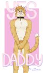 3:5 anthro blush chest_tuft chuck_(p_rindustries) collar collar_only collar_tag cover covering covering_crotch domestic_cat felid feline felis fur hair hi_res male mammal messy_hair nipples nude orange_body orange_fur p_rindustries pink_background pink_ears pink_nose pubes simple_background smile solo standing tabby_cat tail tuft whisker_spots white_background white_body white_fur