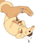 ambiguous_gender anteater big_claws claws feral feral_transformation hi_res human male mammal phytophile pilosan prehensile_tail silky_anteater solo tail transformation xenarthran