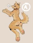 2025 4_toes andromorph andromorph_anthro anthro anus arm_tuft birdpaw_(artist) blush bodily_fluids breath brown_collar butt canid canine canis chest_tuft collar collar_only countershading digital_drawing_(artwork) digital_media_(artwork) domestic_dog elbow_tuft fangs feet full-length_portrait fur genitals handpaw head_tuft hi_res hindpaw humanoid_genitalia humanoid_vulva intersex intersex_anthro leg_tuft light_body light_fur mammal nude nude_andromorph nude_anthro pawpads paws pink_anus pink_pawpads pink_vulva portrait simple_background smile solo sweat tail tail_tuft tan_background tan_body tan_countershading tan_fur teeth toes tuft vulva